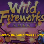 BERJUANG BERSAMA WILD FIREWORKS