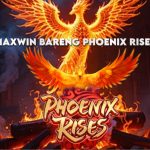 MAXWIN BARENG PHOENIX RISES